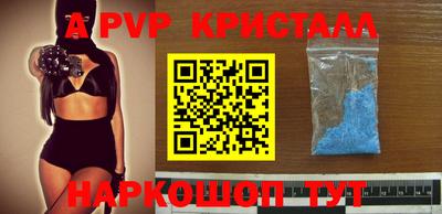 spice Тара