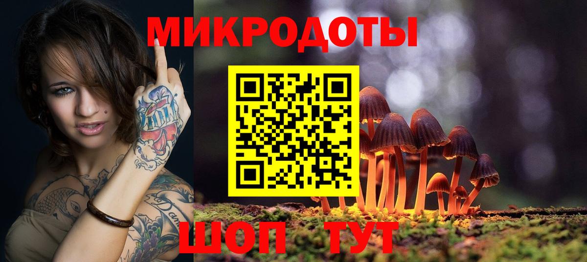 Галлюциногенные грибы Psilocybe Нерюнгри