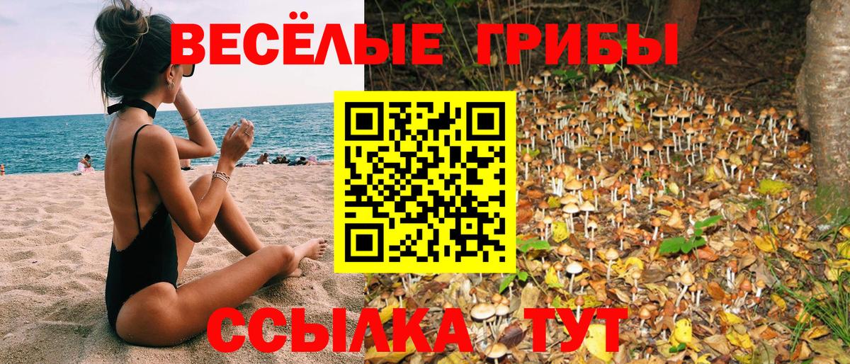 Псилоцибиновые грибы MAGIC MUSHROOMS  Вход с VPN  Нерюнгри 